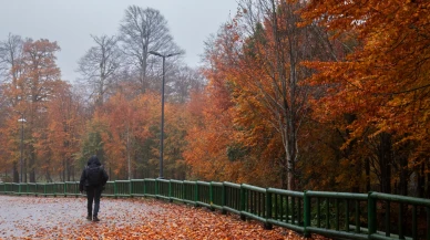 Türkiye’nin en güzel sonbaharı: Kartepe’de kartpostal gibi manzara