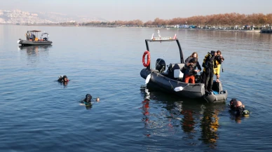 İzmit Körfezi Canlanıyor: Balıklar ve yosunları geri döndü