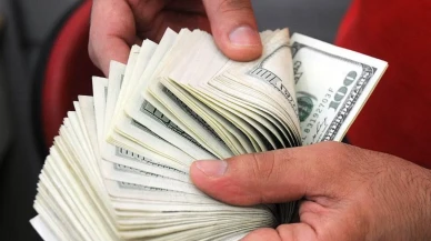 Döviz kurları yükselişe geçti: Dolar 42,07 TL avro 48,47 TL