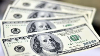 Dolar/TL 42,44'te sabit: Euro ve sterlin hafif yükseldi