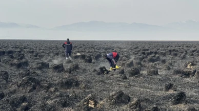 Nehil sazlığı yangını kontrol altında: 200 kuş türü etkilendi