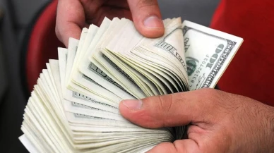 Döviz kurları güne yükselişle başladı: Dolar 42,47 TL euro 49,23 TL