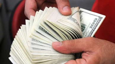 Serbest piyasada dolar 42,46 liradan euro 49,35 liradan açıldı