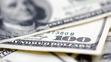 Döviz kurları: Dolar 42,51 liradan euro 49,34 liradan açıldı