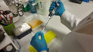 Kırım Kongo Kanamalı Ateşi: Yerli aşı 5 yıl içinde piyasada