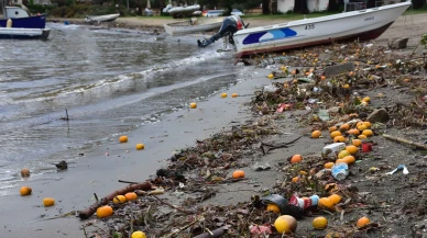 Bodrum'da sel sonrası kıyılar mandalina ve atıklarla doldu