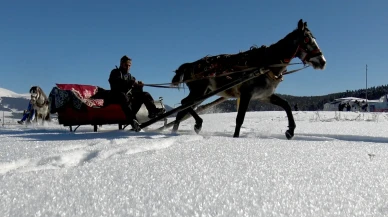 Sarıkamış Kayak Merkezi'nde kış sezonu: Atlı kızakçılar iş başında