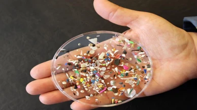 Mikroplastik kirliliği insan beyninde de artıyor
