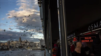 Türkiye genelinde buzlanma ve don uyarısı