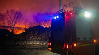 Güney Kore'deki orman yangınlarında ölü sayısı 15'e yükseldi
