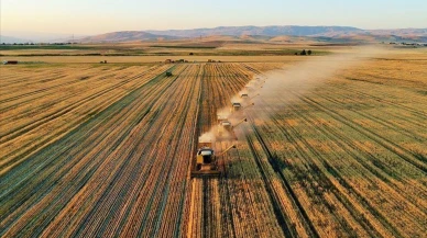 Çiftçilere 2.79 milyar lira destek yarın hesaplarına yatırılacak