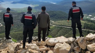 Isparta'da yaban keçisi avlayan kişiye 671 bin lira ceza