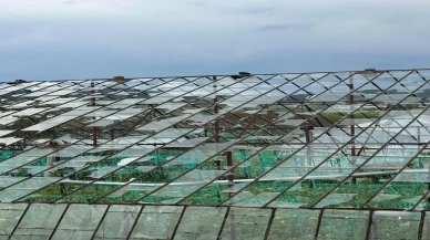 Antalya'da sağanak ve dolu seraları vurdu, ürünler zarar gördü