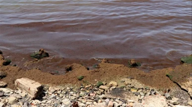 Tekirdağ'da poyrazın etkisiyle sahil kırmızı yosunla kaplandı