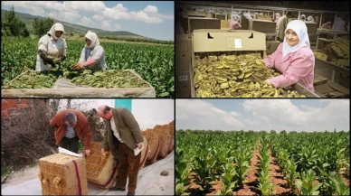 Türkiye’nin tütün ihracatı, 1 milyar 4 milyon dolara ulaştı