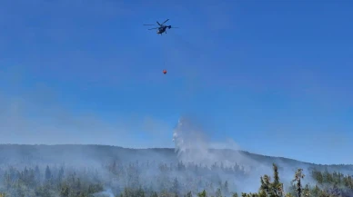 Çanakkale'de tarladan ormana sıçrayan yangına havadan ve karadan müdahale ediliyor