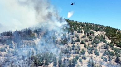 Ankara'da korkutan orman yangını: Dumanlar gökyüzünü kapladı