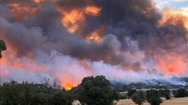 Uşak'ta orman yangını: Ekipler havadan ve karadan müdahale ediyor