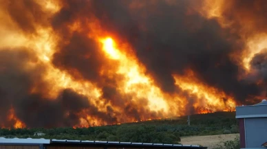 Tekirdağ'da anız yangını ormana sıçradı: Kızılcaterzi mahallesi tahliye edildi