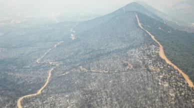 Geyve'deki orman yangını Bilecik'e sıçradı
