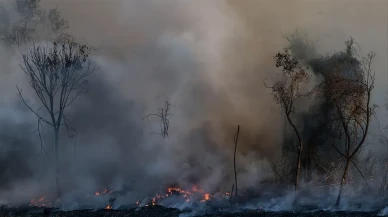 İtalya'daki orman yangınları felaketi: Toskana'da 600 Turist tahliye edildi