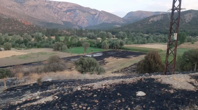 Çorum'da anız yakma faciası: 55 yaşındaki çiftçi hayatını kaybetti