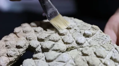 Harran'da tarihî ekmek kalıbı bulundu