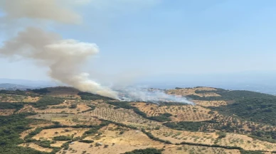 Aydın Efeler’de ziraat arazisinde yangın: Ekipler seferber oldu