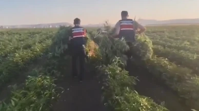 Ankara'da büyük uyuşturucu operasyonu