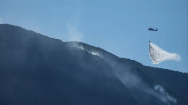 İzmir ve Adana'daki yangınlara havadan müdahale ediliyor