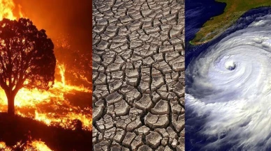 OGM’den 2025-2030 iklim değişikliği stratejisi: Ormancılık ve tarımda yeşil dönüşüm başlıyor