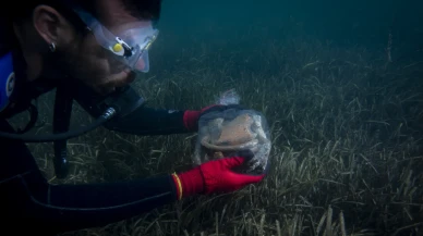 Dalgıç arkeologlar Urla'da 5.300 yıl öncesine ait kalıntıları gün yüzüne çıkarıyor