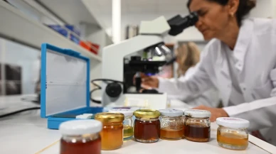 İklim değişikliği kestane balını tehdit ediyor