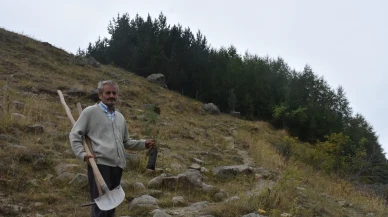 Gümüşhane'de emekli din görevlisinden tam 50 bin fidan