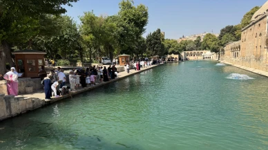 Şanlıurfa'da 47 dereceyi bulan sıcaklar hayatı zorlaştırıyor