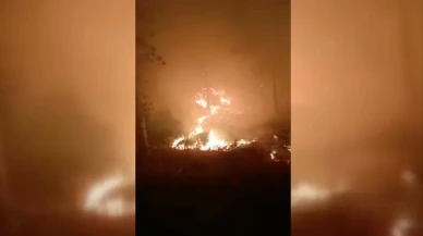Muğla'nın Yatağan ilçesinde orman yangını