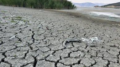 Kuraklık tehdidi: Türkiye'nin tek göl adası Mada Adası tehlikede