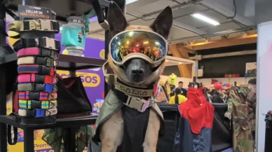 Kolombiya'da ExpoPet Fuarı