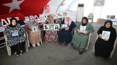 Diyarbakır Annelerinin Evlat Nöbeti 7. Yılına Girdi