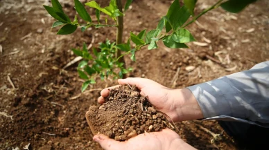 Adana'da öğrenciler "Yeşil Vatan" için fidan dikti