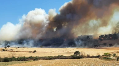 Ezine'de zeytinlik yangını ormana sıçradı: Müdahale sürüyor