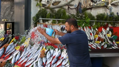 Balık sezonu açıldı tezgahlar şenlendi