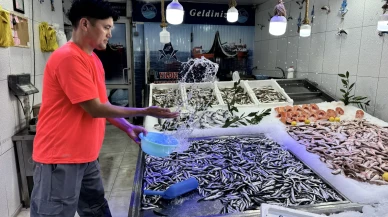 Karadeniz balıkçıları hamsiyle yüzleri güldürdü! Hamsi fiyatı 200 lira