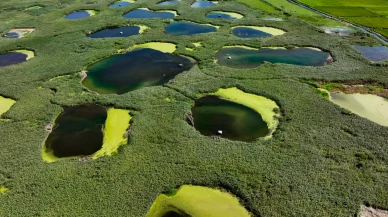 Edirne'deki Göl Baba sulak alanı kuraklığa meydan okuyor