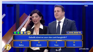 Gebelik süresi en uzun olan canlı hangisi? Yarışmanın dikkat çeken sorusu