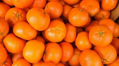 Türkiye'nin narenciye ihracatı 2025'te rekor seviyeye ulaştı