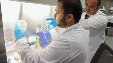 Ağız Bakterileri Obezite riskini gösteriyor mu? Araştırma sonuçları şaşırtıcı