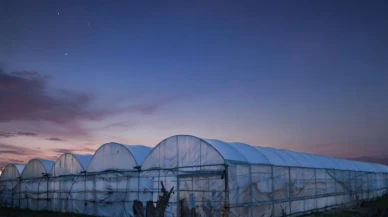 Soğuk hava çiftçiyi zorladı: Seralarda don nöbeti tutuldu
