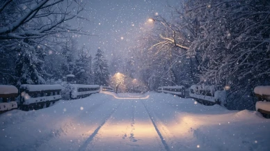 Türkiye'de yoğun kar yağışı nedeniyle 5 ilde okullar tatil edildi