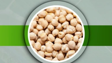 Başkan Kasap: Nohut tohumu desteği başvuruları 23 Ocak'a kadar açık